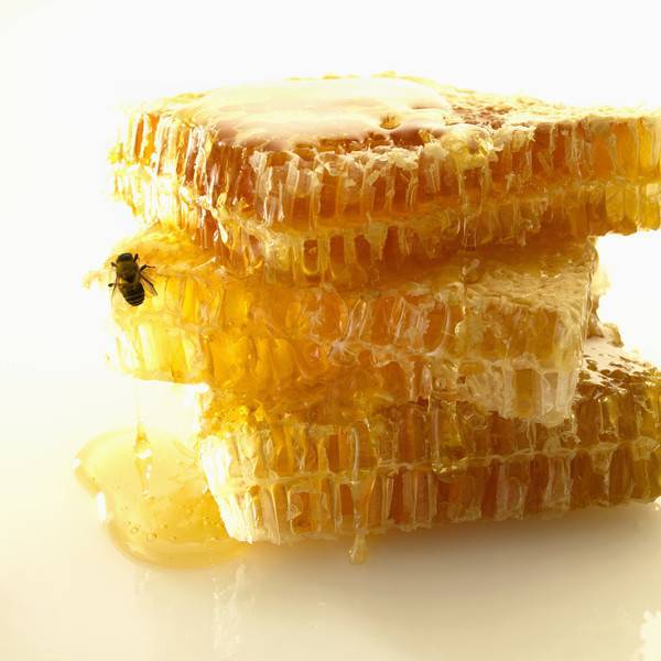 Как хранить мед в сотах в домашних условиях в квартире