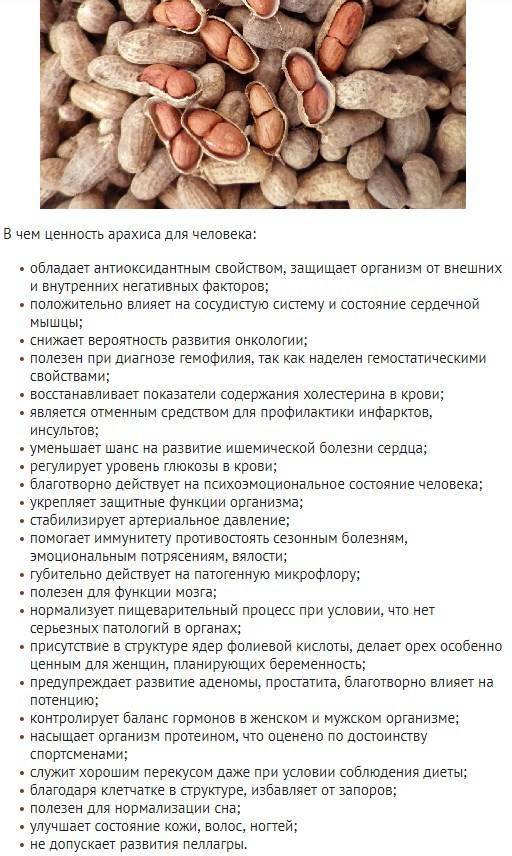 Арахис — польза и вред для нашего организма, калорийность и способы приготовления | здорова и красива