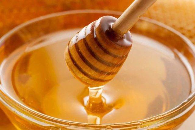 Горный мед: полезные свойства, противопоказания, разновидности