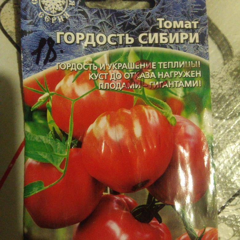 Сорт томатов гордость сибири: описание, характеристика и отзывы тех, кто сажал, фото, а также особенности выращивания