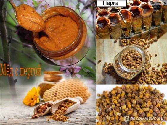 Мёд с пергой — полезные свойства. описание. пропорции. противопоказания
