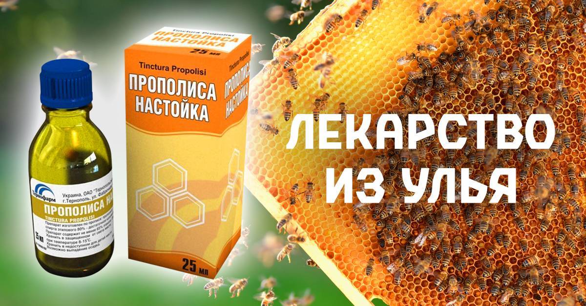 Картинка пчелиного прополиса