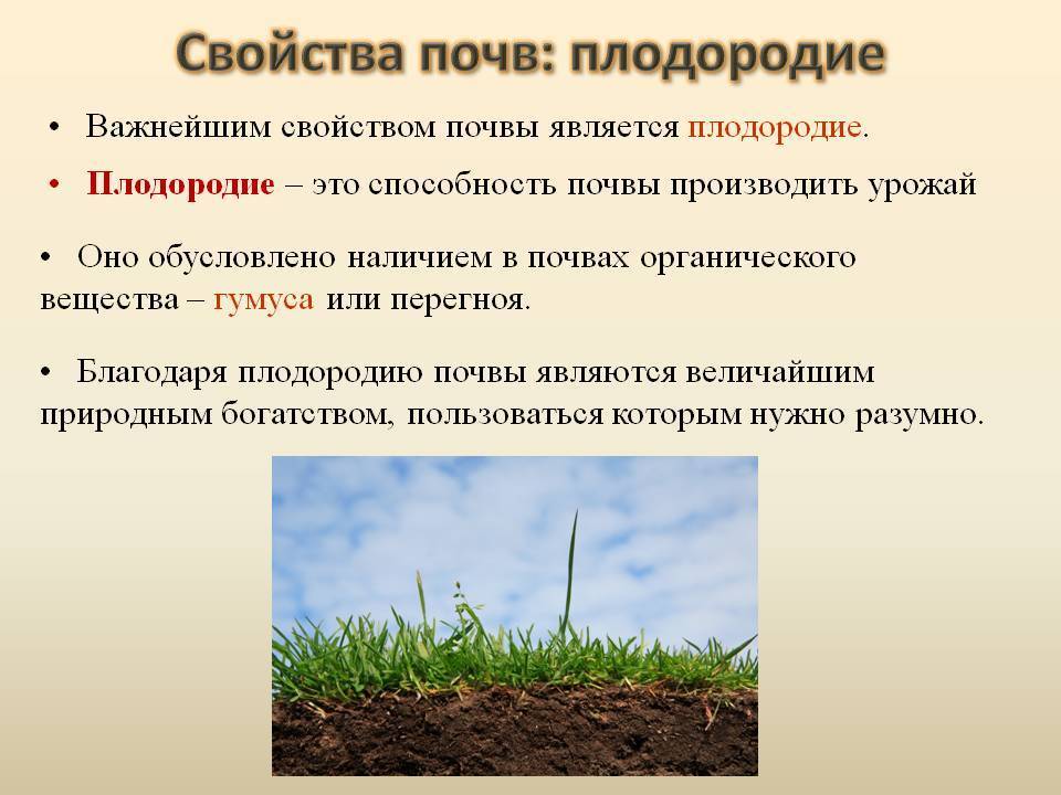 Топ-8 способов как повысить плодородие почвы