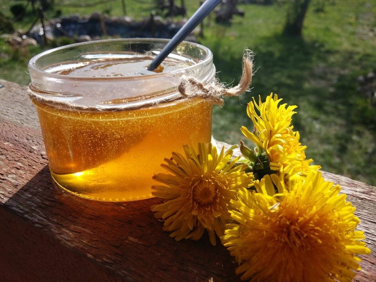 Мёд из одуванчиков. рецепты одуванчикового меда. польза, особенности