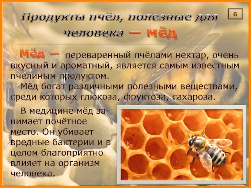 Свойства и применение мёда в сотах - польза вред 2021
