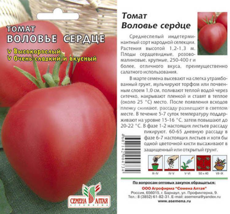 Отзывы, описание, характеристика, урожайность, фото и видео сорта томатов «король красоты».