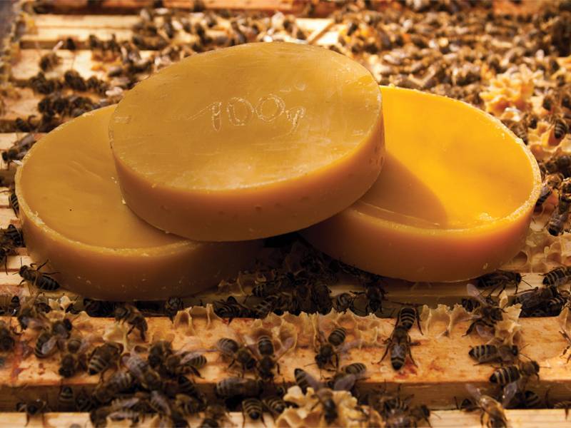 Как использовать пчелиный воск?
