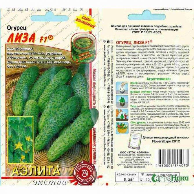 Семена огурец шмель f1: описание сорта, фото. купить с доставкой или почтой россии.