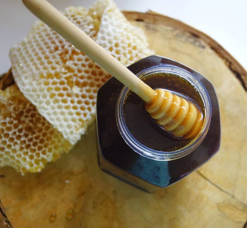 Польза и вред падевого меда: что это такое, как отличить от других сортов, почему он вреден для пчел?