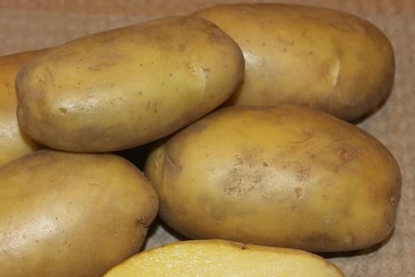 Сорт картофеля метеор характеристика отзывы фото кто сажал