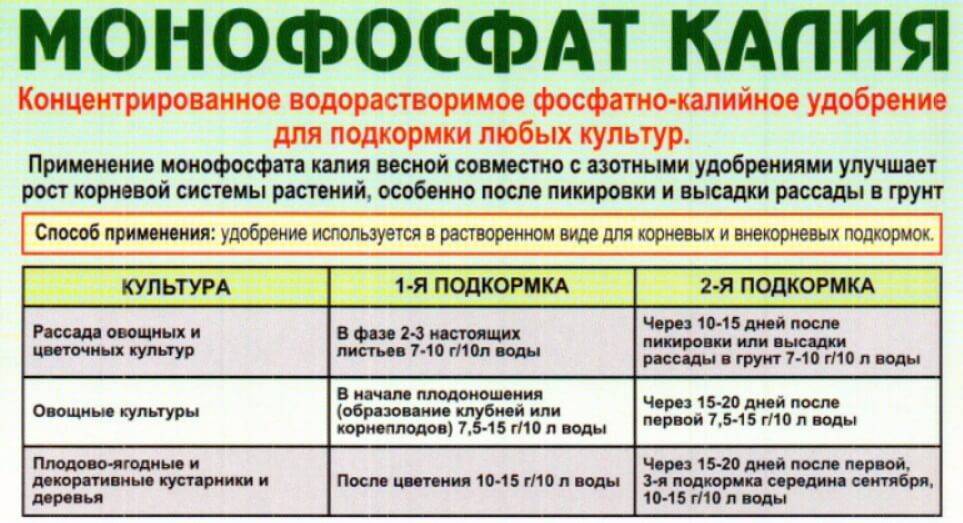 Монофосфат калия: как удобрять помидоры, овощи, цветы и не только
