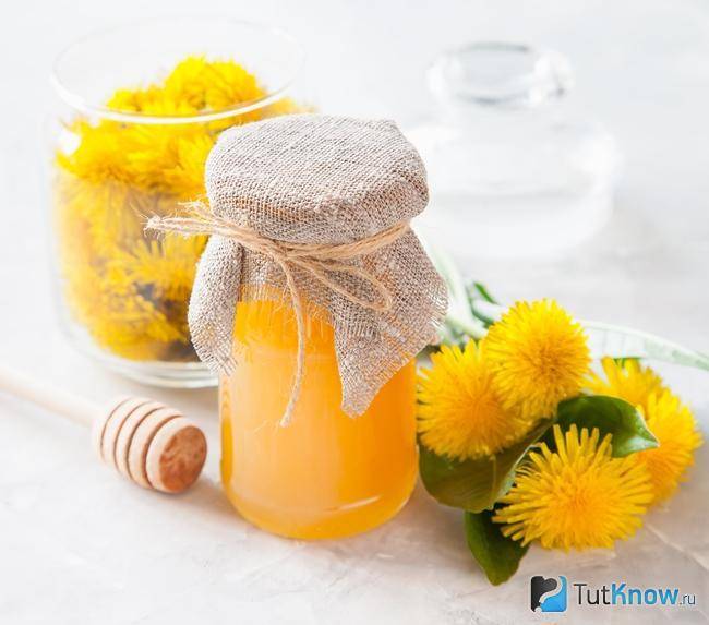 Одуванчиковый мед: полезные свойства, противопоказания, рецепты
