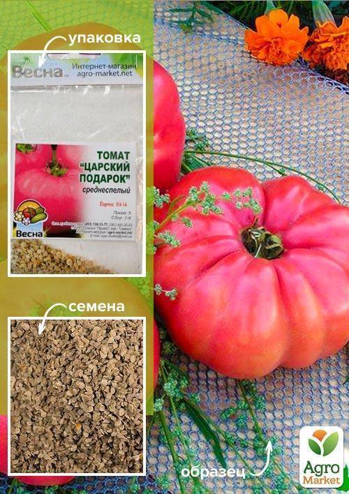 Описание крупноплодного томата Царский подарок и правила выращивания сорта в тепличных условиях