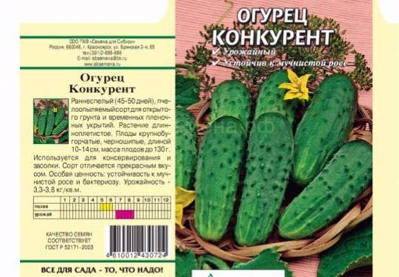 Сорт огурцов конкурент: характеристика и описание, особенности выращивания, фото