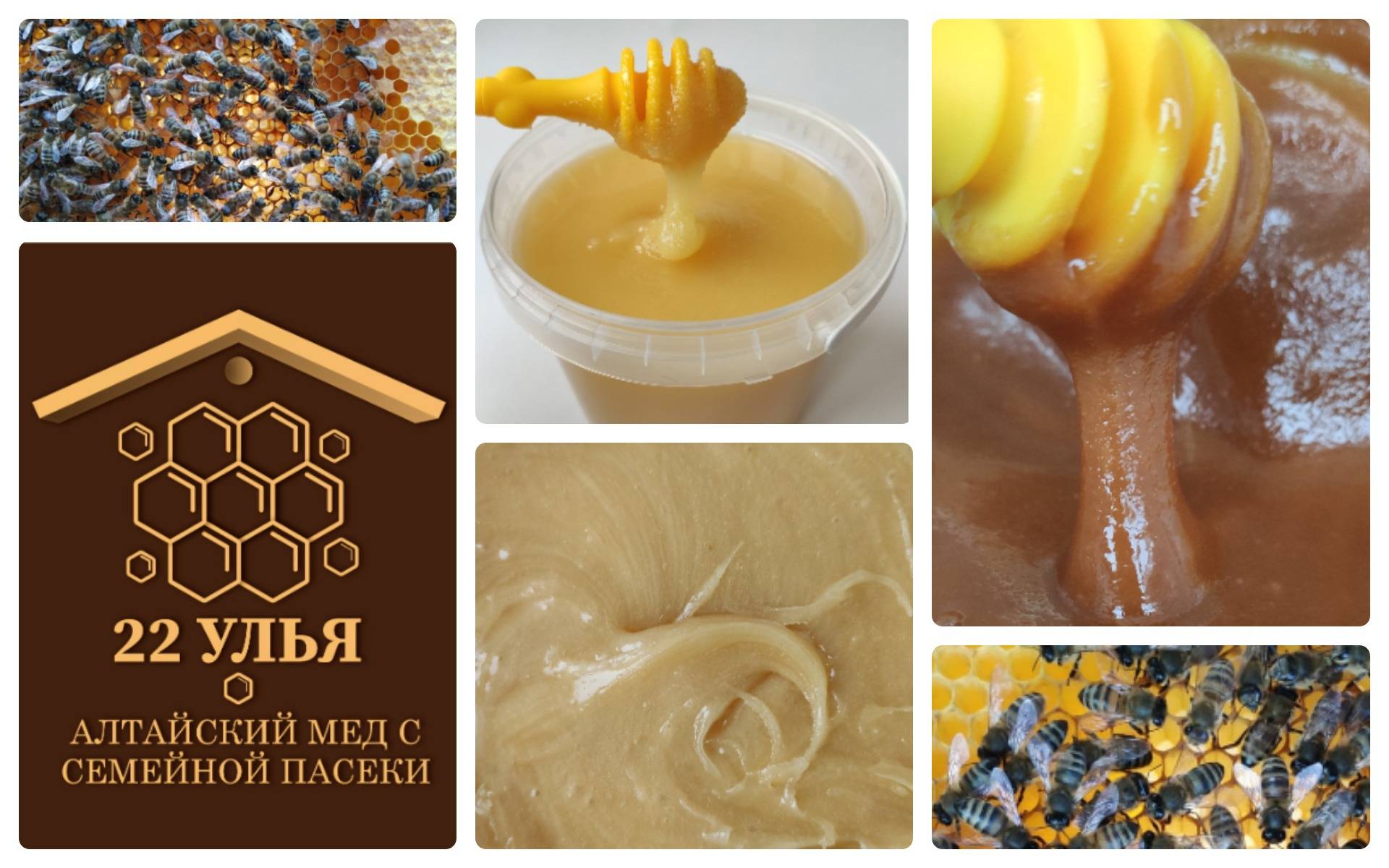 Алтайский мёд таёжный, горный и другие, имеют полезные свойства