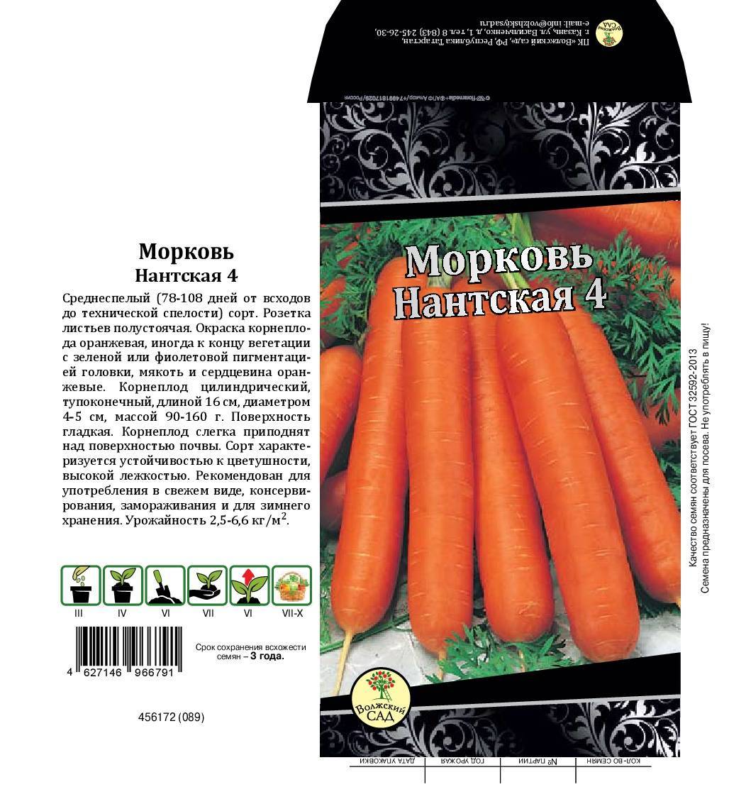 Нантская 4: описание сорта моркови, характеристики, агротехника