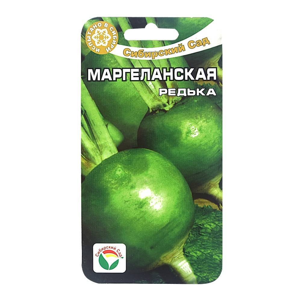 Редька маргеланская описание сорта фото