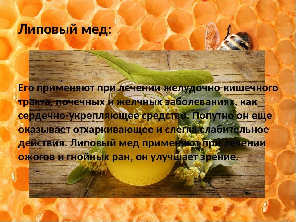 Липовый мед: полезные свойства для женщин и мужчин, противопоказания