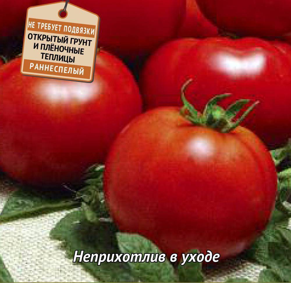 Характеристика томата Сват f1 и описание выращивания сорта