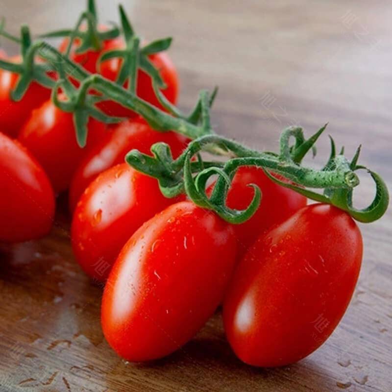 Сорт томатов «чио чио сан»: характеристика и описание, урожайность, особенности посева, выращивания и ухода, фото, отзывы