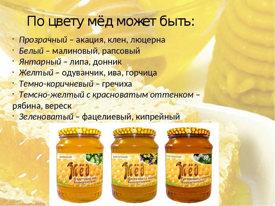 Кориандровый мед: полезные свойства, вред, применение