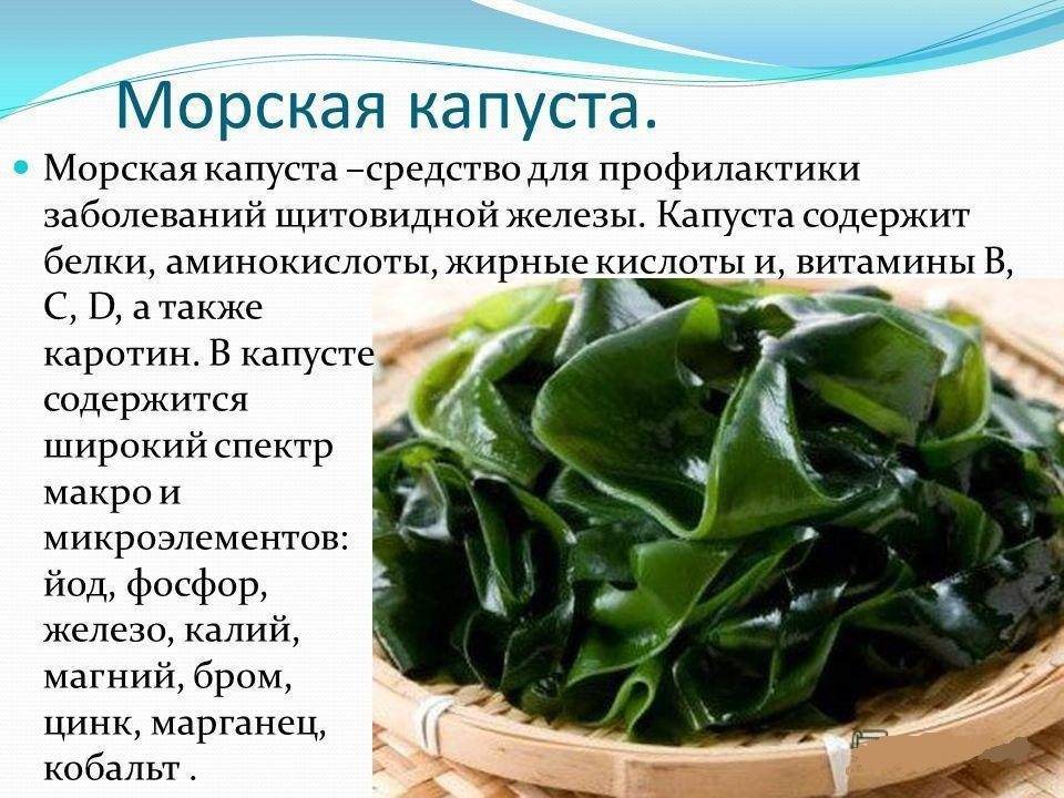 Салат из морской капусты: вкусные рецепты с фото