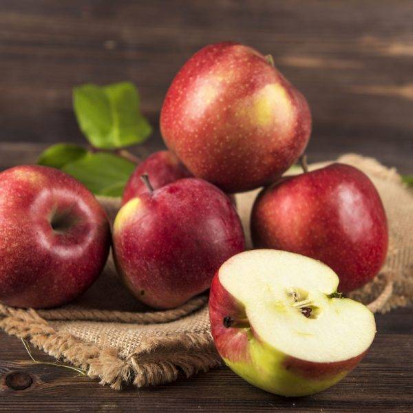 Дитя популярных родителей — яблоня сорта джонаголд