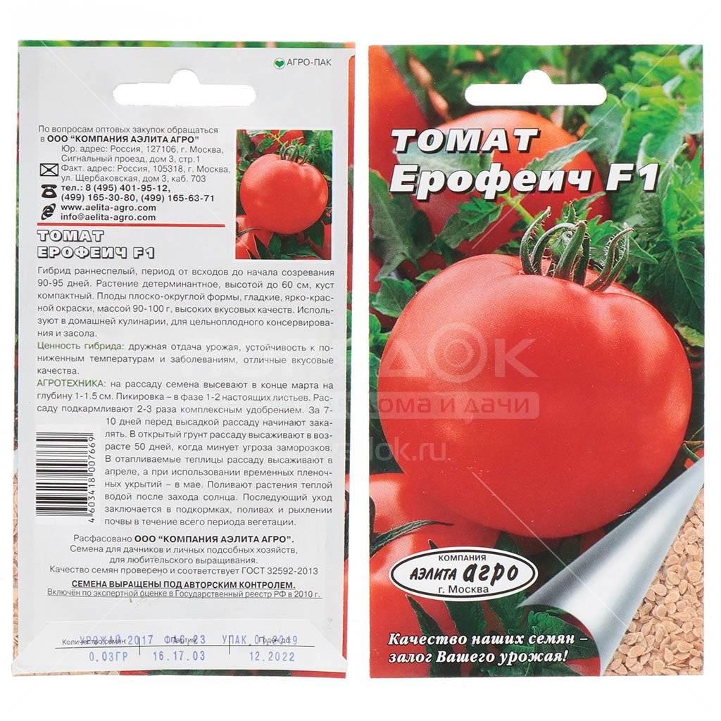 Томат верлиока f1: описание и характеристика гибрида, отзывы и фото тех, кто выращивает сорт