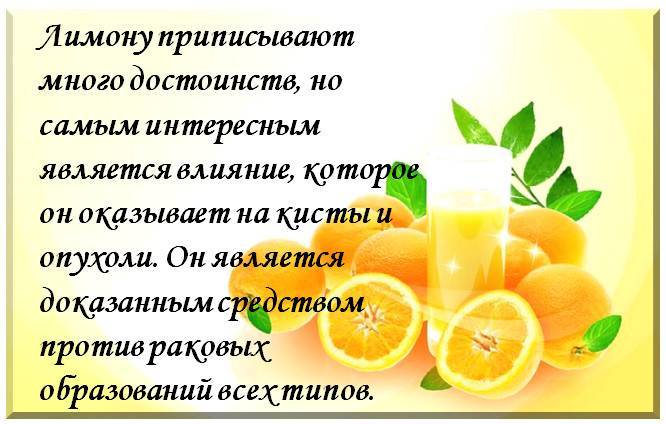 Лимон: польза и вред для организма человека | пища это лекарство