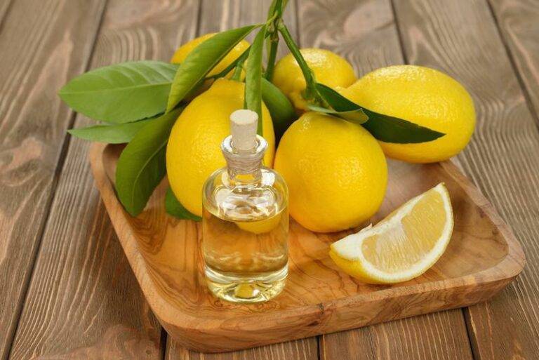 Мед лимон оливковое масло: рецепты здоровья и красоты с фото