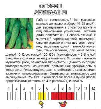 Особенности выращивания, характеристика и описание огурцов сорта либелла f1