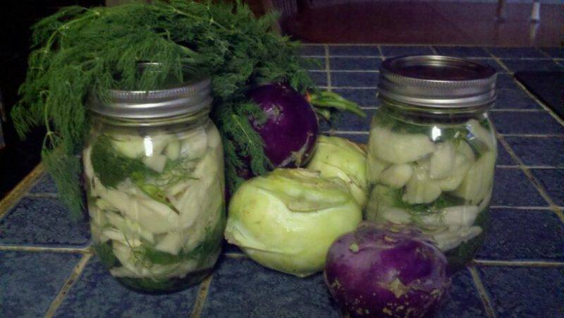 Рецепты приготовления кольраби: капуста, вкусно, полезно, на зиму, салат, без стерилизации, хранение, заготовки, блюдо, листья