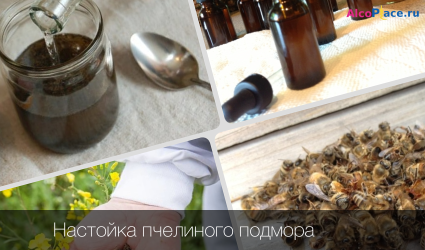 Подмор пчелиный: рецепт настойки, схема применения для мужчин