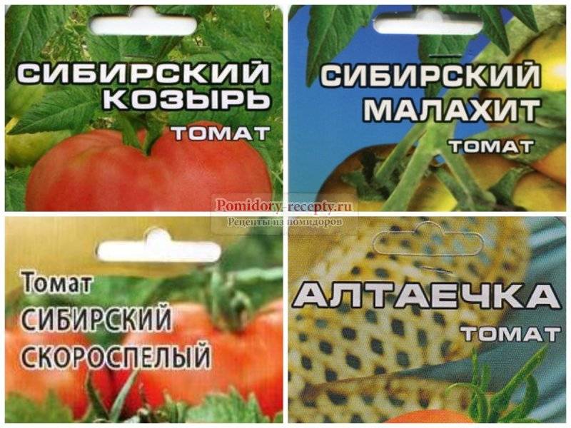Томат барнаульский консервный: отзывы, фото, урожайность, описание и характеристика | tomatland.ru