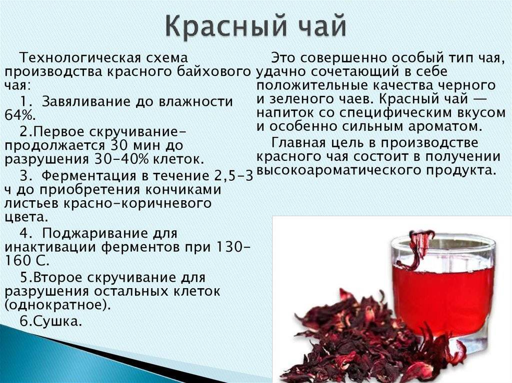 Чай каркаде - польза и вред для организма мужчины и женщины. полезные свойства и противопоказания