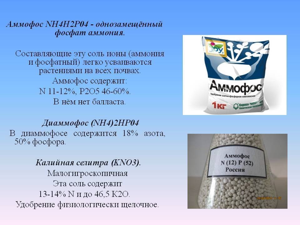 ✅ азофоска: состав и инструкция по применению - сад62.рф