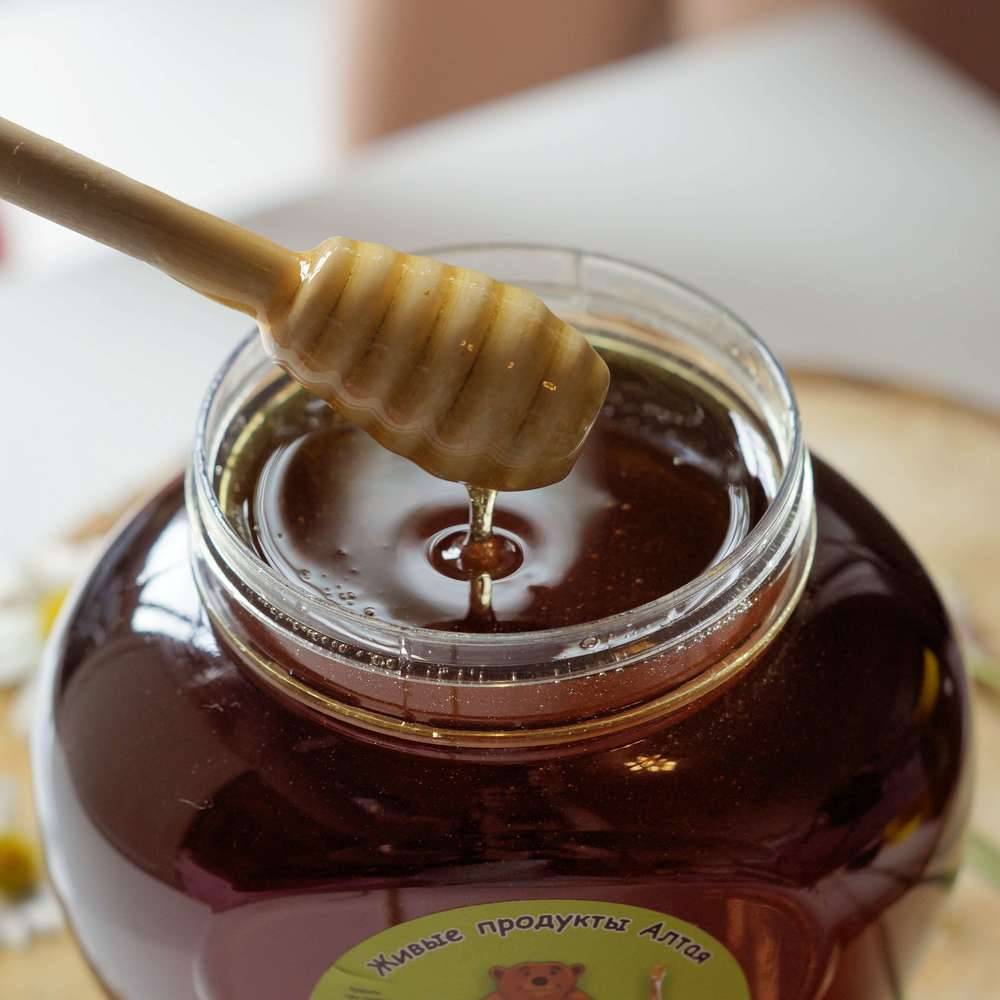 Падевый мёд: что это такое, польза и вред