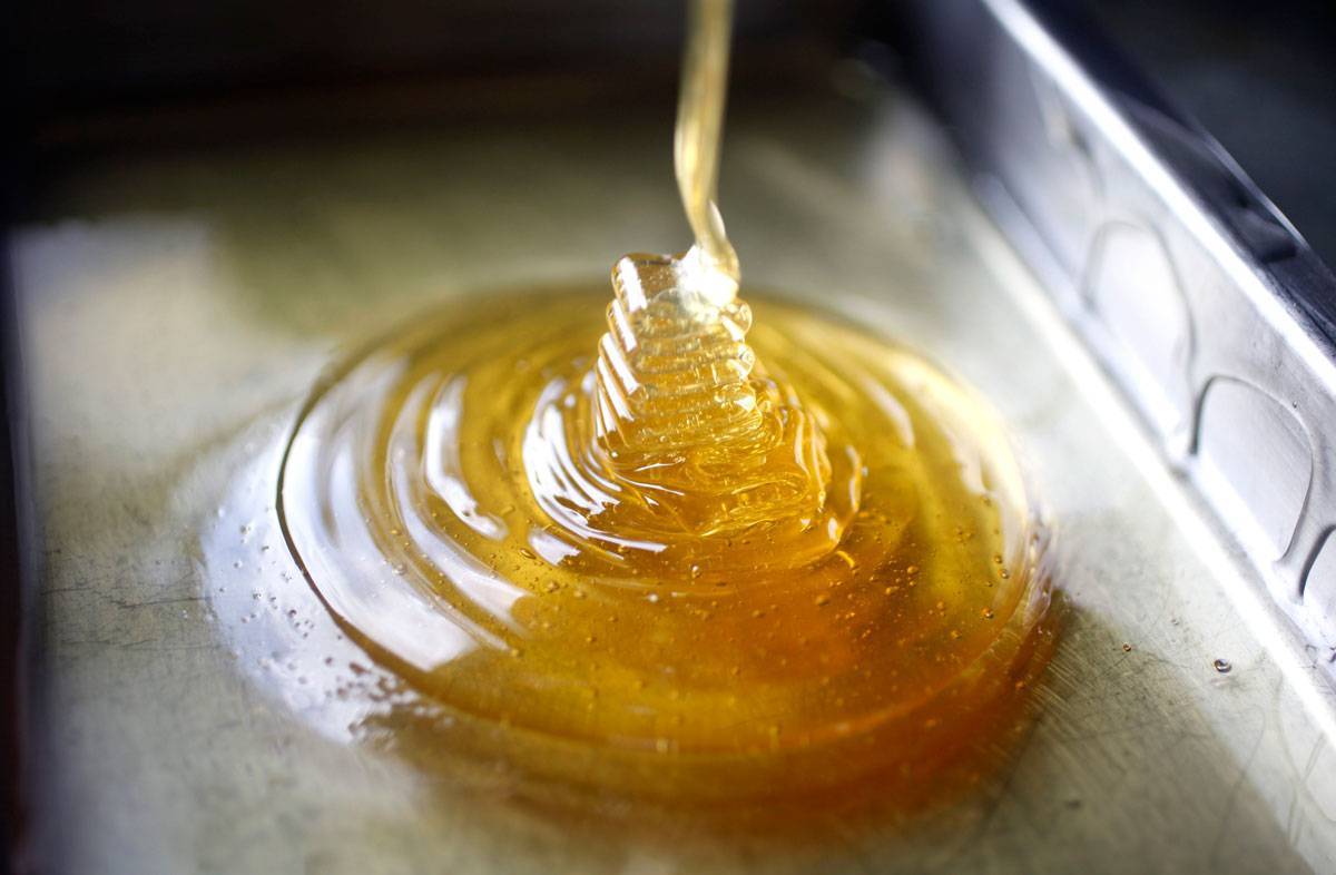 Сравнительный анализ искусственного и натурального мёда и его воздействие на организм человека