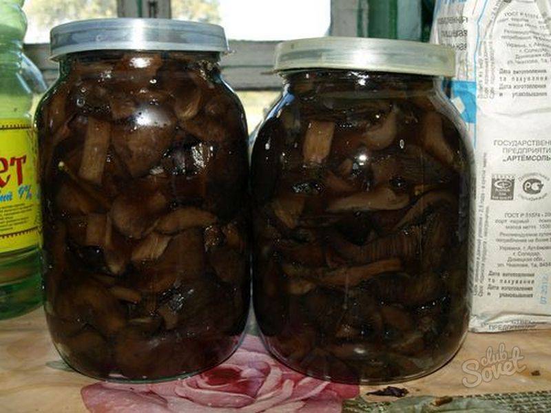 Как в домашних условиях мариновать грибы: рецепты вкусных заготовок на зиму с фото и видео