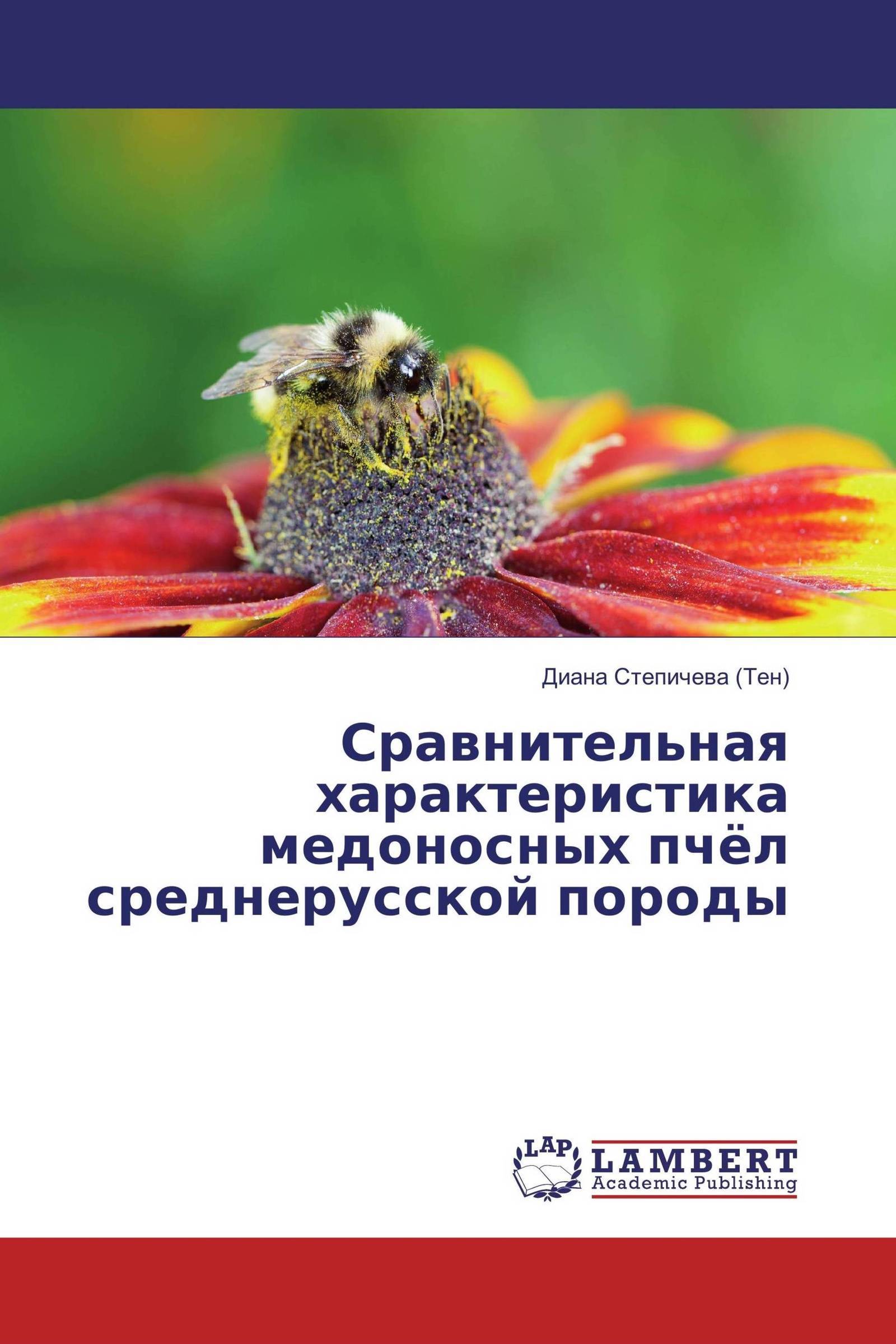 Породы пчел карпатка и среднерусская: подробный обзор с фото и видео
породы пчел карпатка и среднерусская: подробный обзор с фото и видео