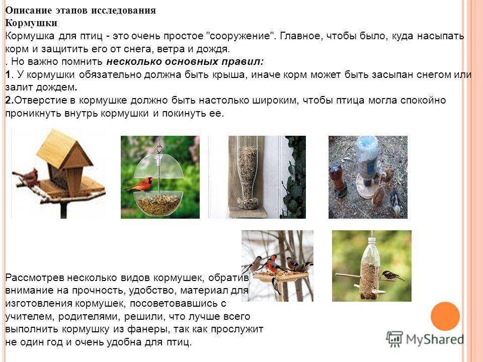 Презентация изготовление кормушки для птиц