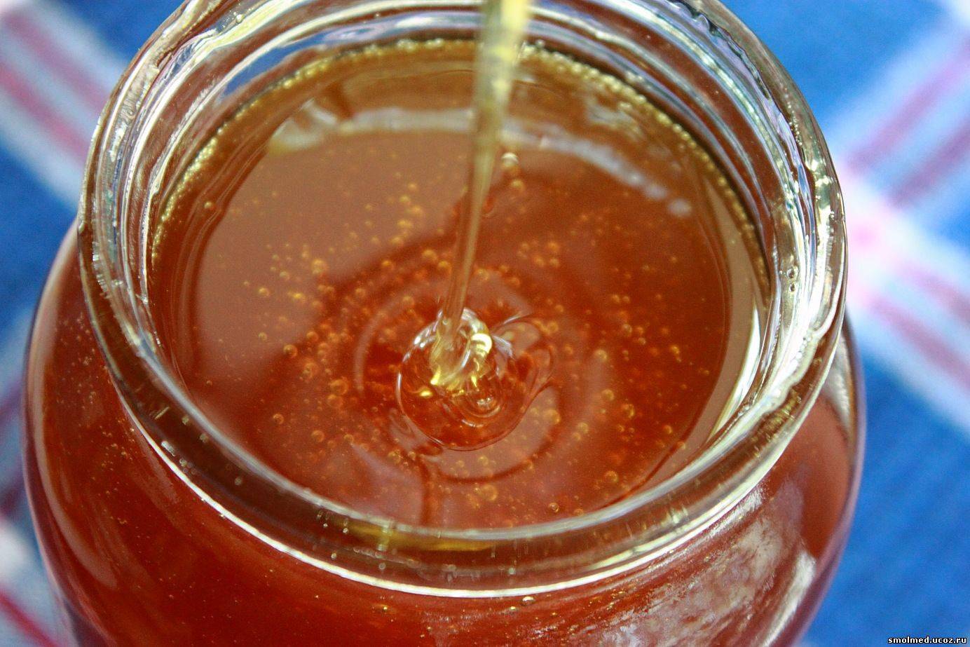 Фацелиевый мед: полезные свойства и противопоказания, описание