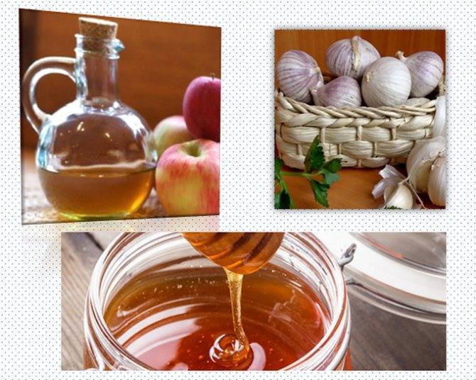 Яблочный уксус с медом, свойства и применение напитка