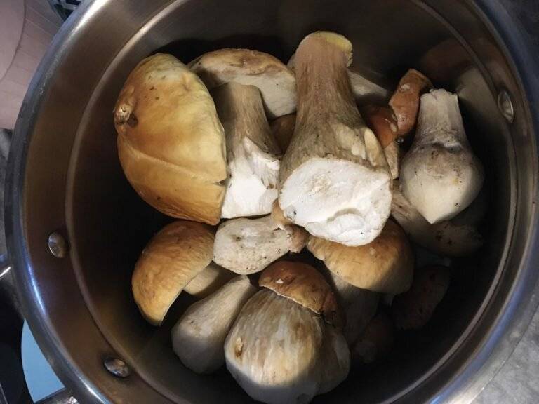 6 рецептов заморозки грибов на зиму в домашних условиях