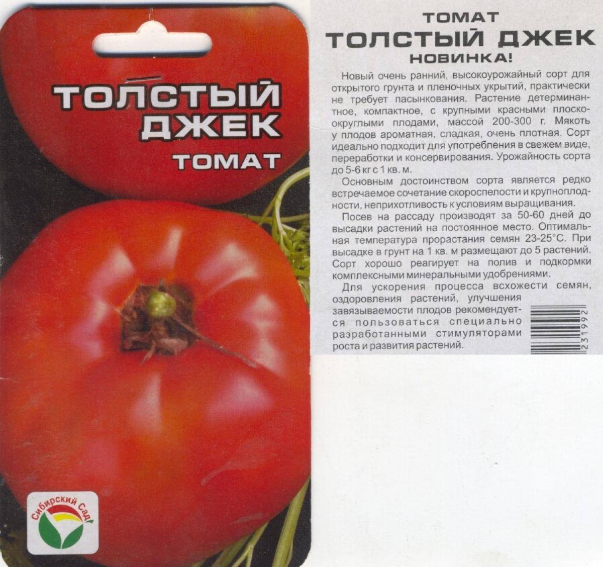Толстушка — описание и особенности выращивания томата