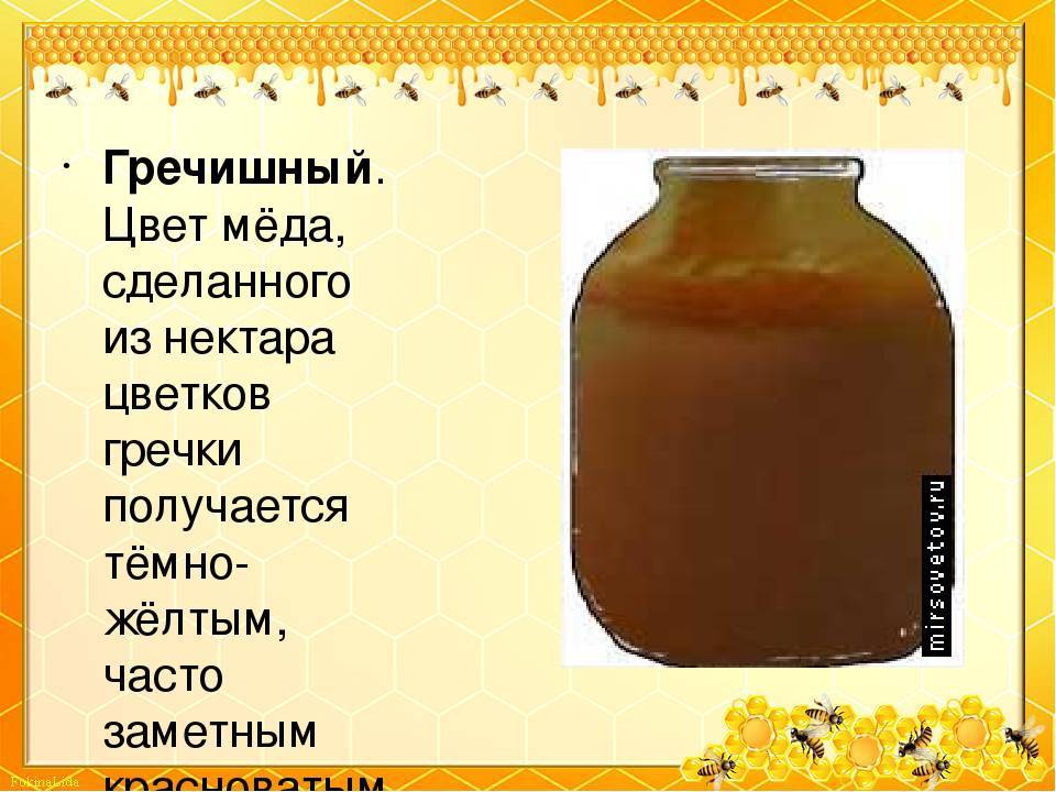 Гречишный мёд: полезные свойства и противопоказания, возможный вред, калорийность, описание, как выглядит, фото