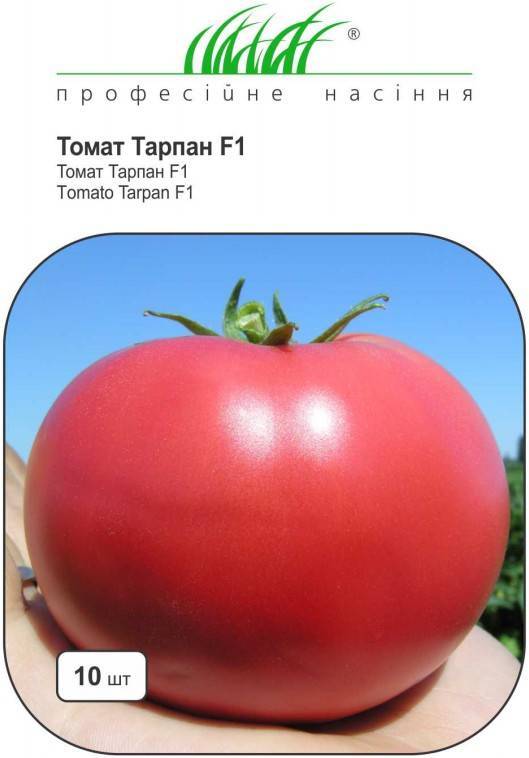 Томат афен f1: характеристика и описание гибридного сорта с фото