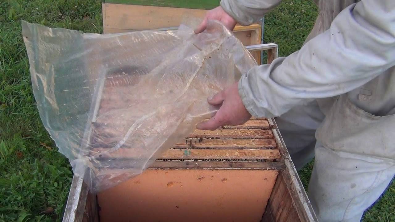 Обработка пчел щавелевой кислотой |