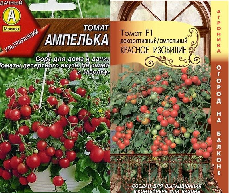 Описание томата Ампельный смесь и особенности выращивания сорта
