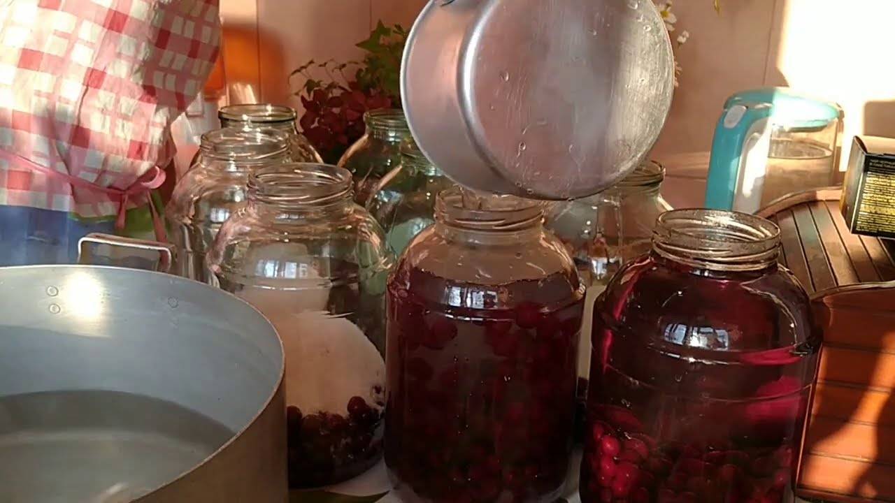 Компот из белой смородины: простые рецепты с красной ягодой, с апельсином или крыжовником, как заготовить напиток на зиму в литровой банке
